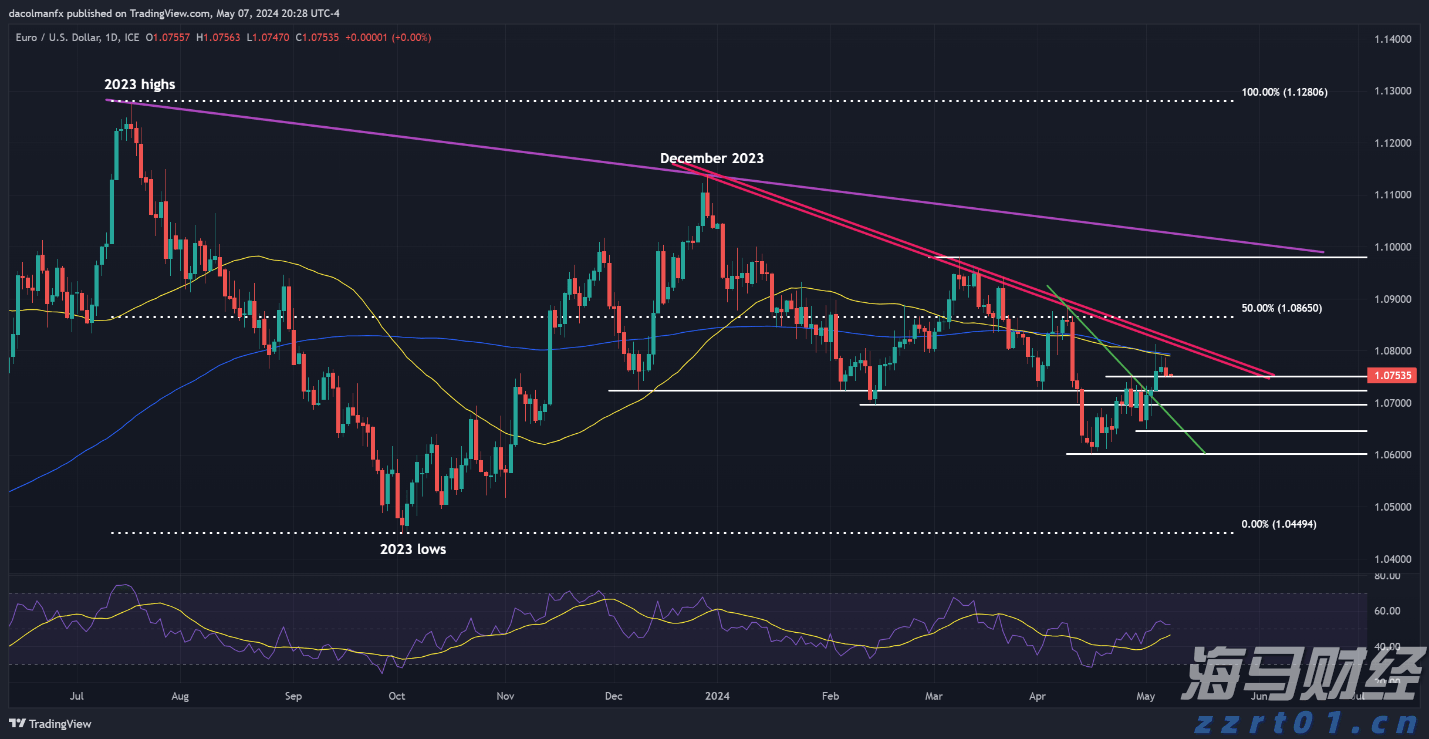 2024年度全国三八红旗手谢冰梅:“回游青年”反哺桑梓 挑起乡村振兴担子